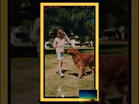 مشهد رائع البنت مع الكلب Subscribe Shorts Great Scene The Girl With The Dog