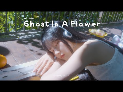 Yorushika Ghost In A Flower 꽃에 명령 Covered By HANEUL HANEUL S Daily Jpop Playlist