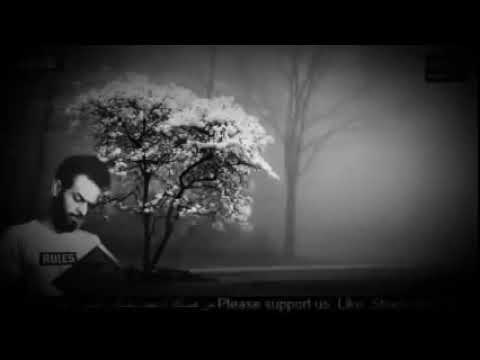 اعتزل عن العالم قليلا بصوت القارئ شريف مصطفى