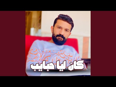كان ليا حبايب