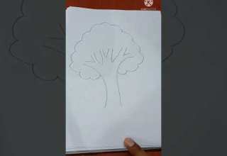 Easy Tree Drawing Art