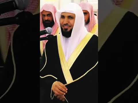 لقطة جميلة جدا للشيخ ماهر المعيقلي يوقف صاحب التصوير قبل أداء الصلاة لقطة جميلة جدا للشيخ ماهر المعيقلي يوقف صاحب التصوير قبل أداء الصلاة