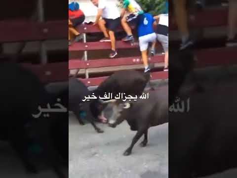 سلم على الشهداء إلي معاك