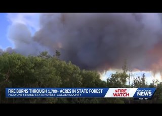 Picayune Strand Brush Fire Burns More Than 1 700 Acres In Collier County Evacuations Ordered