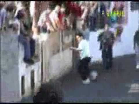 ثيران هائجه في الشوارع Bulls