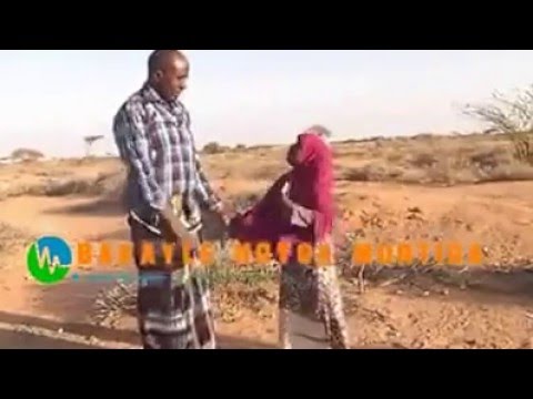 Sooran Iyo Amran Qosolkii Adunka