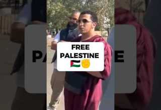 Free Palestine Shamsi Shorts Palestine Islam 