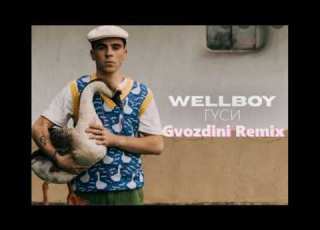 Wellboy Гуси Gvozdini Remix