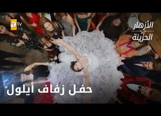  الكل ي ويغني في زفاف أيلول الحلقة 343 الأزهار الحزينة