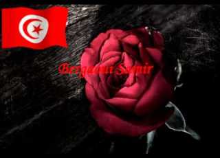  الش عب الت ونسي يخوض حربه ضد الاخوان لكنسهم ودحر دعارتهم عاشت تونس حر ة أبي ة