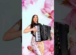 Little Mermaid ACCORDION COVER Accordion Cover Music Elenastenkina