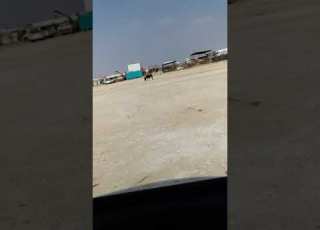 قسم الامير محمد بن سلمان بن عبدالعزيز آل سعود امام عبادي الجوهر ولاتبوح حصة لنورة ليوم القيامة