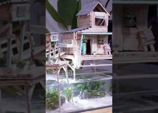 Tiny House With Real Fish