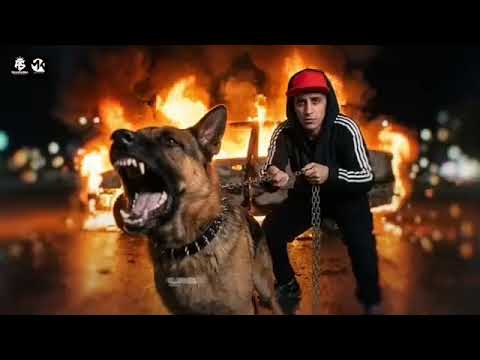 مهرجان طول ما انا عالي طول مانا ناجح حمو المرشدي توزيع احمد نصه كلمات شمس ناسف