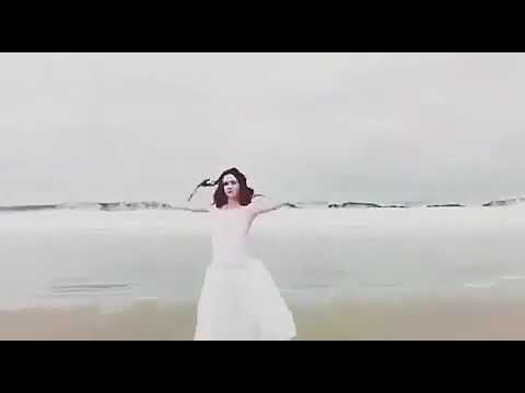 أنا بدي طير