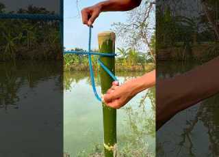 Best Rope Knot For Bamboo Post Strong Easy Outdoor Knot Shorts