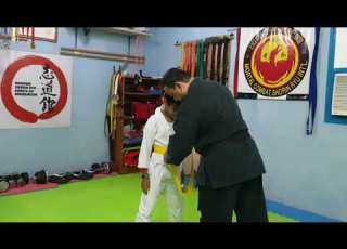  Shorin Ryu Karate Austria Dojo Shidokan