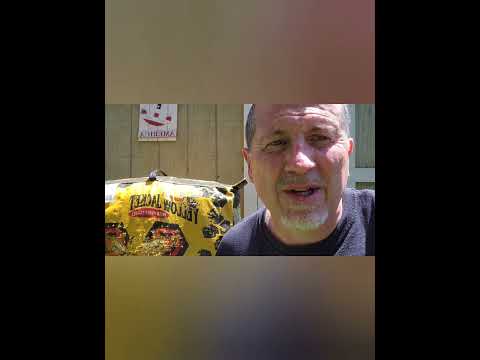 Never End Day On A Bad Shot