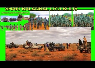  Wararka Naga Soo Garayah Dagmada Balanbal Ayaa Waxay Shegayaan In Ay Sogaren Ciidanka Liyuu Boolis
