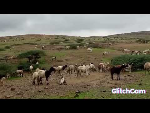 ولاية البحرالأحمر جنوب طوكر عين