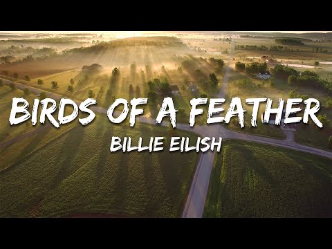 Billie Eilish BIRDS OF A FEATHER Lyrics Billie Eilish BIRDS OF A FEATHER Lyrics