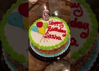 Sashas 6th Birthday