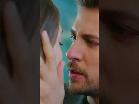 تقبيل ليلى و إيمره الطائر المبكر Shorts تقبيل ليلى و إيمره الطائر المبكر Shorts