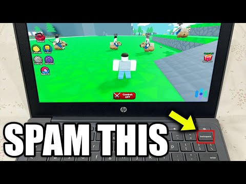 How To Play ROBLOX On A SCHOOL CHROMEBOOK