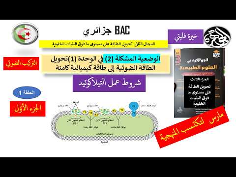 الحلقة 1 من حل وضعية الية حدوث التفاعل الكيموضوئي