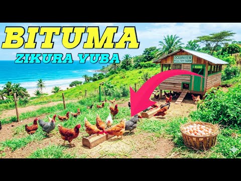 DORE IBIRYO BIBYIBUSHYA INKOKO MUKWEZI KWA 7 Summer