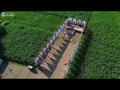 عيال وكان نفسها الجبل عمرو سلامه بروموا فرحة القبطان احمد رجب