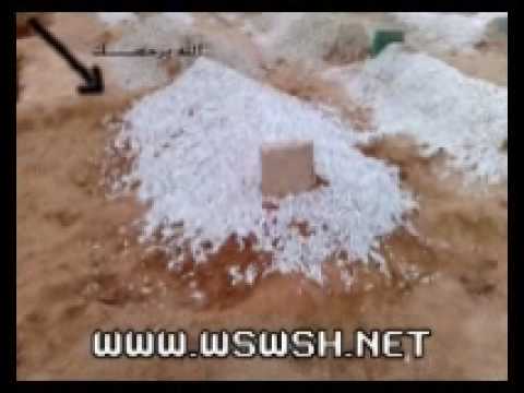 حادث مشتاق للعضه والعبره