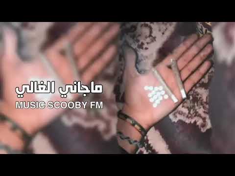 اغاني مطلوبة ياليلة ماجاني الغالي ودق عليا الباب بطيء