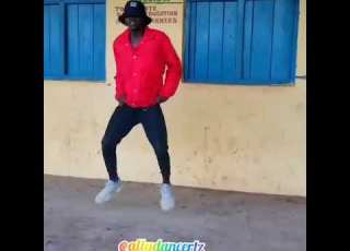 Wakali Sisi Ally Dancer