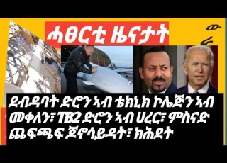  የዕለቱ መረጃዎች ደብዳብ ድሮናት ኣብ ቴክኒክ ኮሌጅንብመቀለን TB2 ዝዓይነቱ ድሮን ቱርኪ ኣብ ሀተር ስነዳ ጨፍጫፍ ጆኖሳይዳት ክሕደትJan112022