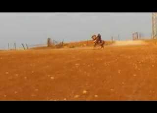 الفارس أغنيوة عامر القطراني الابيار ليبيا