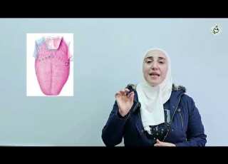  مادة العلوم الحلقة السادسة عشر المستقبلات الكيميائية
