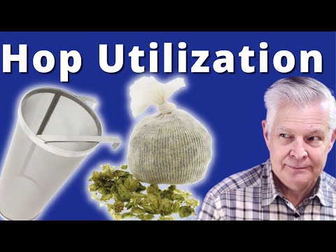Do Bags Or Spiders Impact Hop Utilization In Homebrew