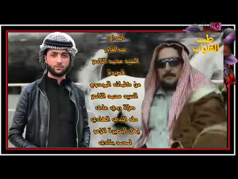 المداح السيد عبد القادر السيد محمد عبد الناصر الشيخ عيسى السلامي