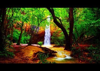  Musique Zen Flûte Cloches Tibétaines Et Bruit De La Nature Relaxation Dormir