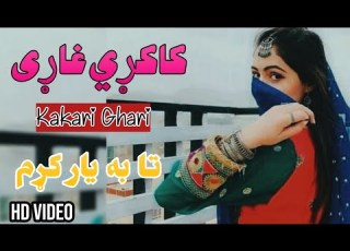 New Pashto Kakari Ghari 2022 کاکڑی غاڑی Ta Ba Yar Kram پشتو HD Video Akbar Shah Nikzad Pashto Songs
