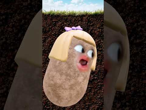 بابا تليفون قولو مو هون Shorts