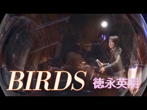 BIRDS 徳永英明