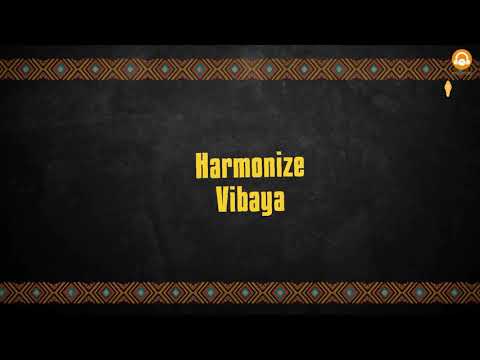 Harmonize Vibaya Lyrics Video