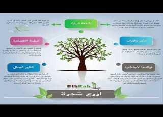 فوائد الشجر وكيفية المحافظة عليه