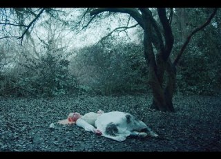 Paris Paloma Underneath Official Video