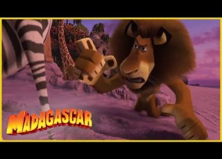  DreamWorks Madagascar Em Português Dividiendo La Isla Dibujos Animados Para Niños