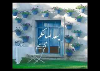 صباحك نور