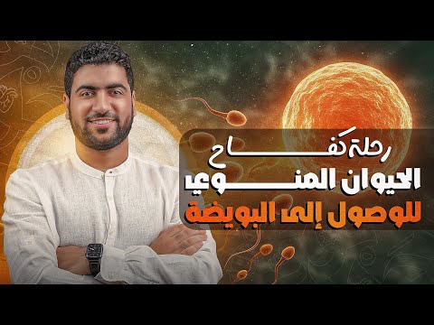 رحلة كفاح الحيوان المنوي للوصول للبويضة