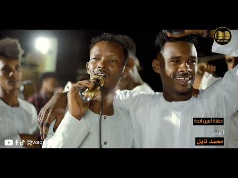 محمد نايل جديد 2026